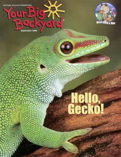 Various Magazines 9744