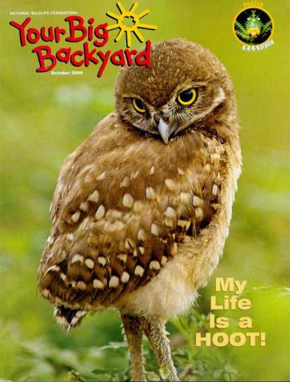 Various Magazines 9745