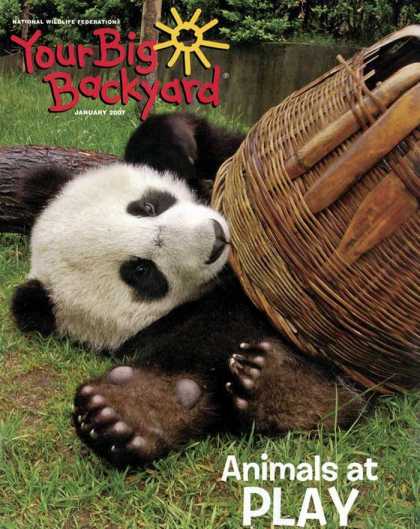 Various Magazines 9747