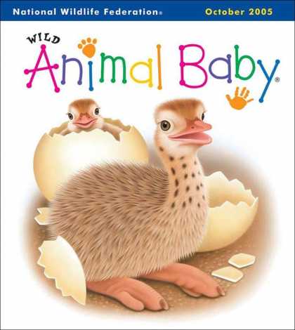 Various Magazines 9762