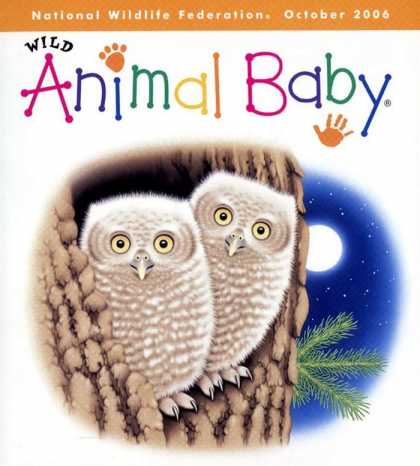 Various Magazines 9767