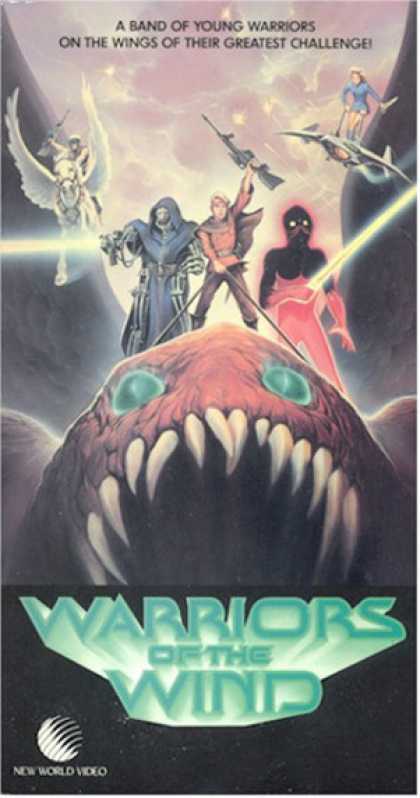VHS Videos - Warriors Of the Wind