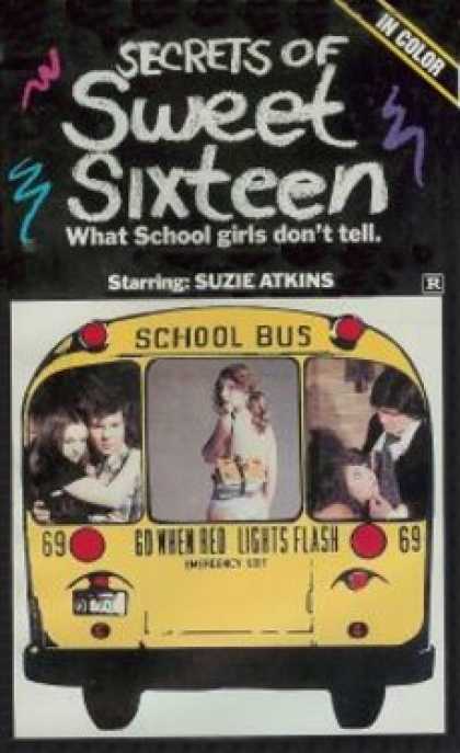 VHS Videos - Secrets Of Sweet Sixteen