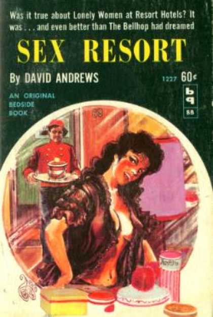 Vintage Books - Sex Resort - David Andrews