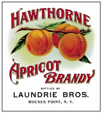 Vintage Label Art 226