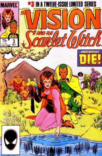 Vision and the Scarlet Witch 3