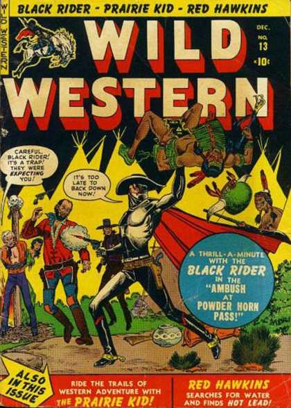 Wild Western 13