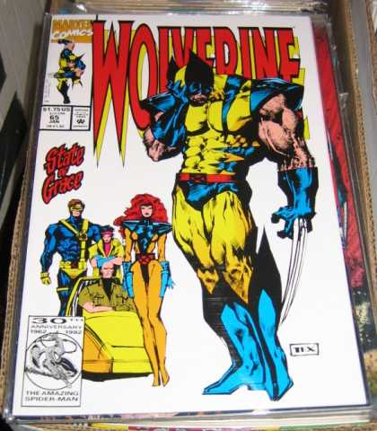 Wolverine 65 - Mark Texeira