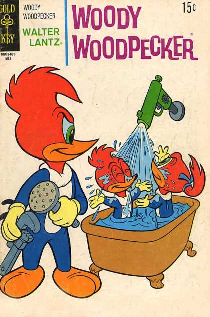 Woody Woodpecker 111
