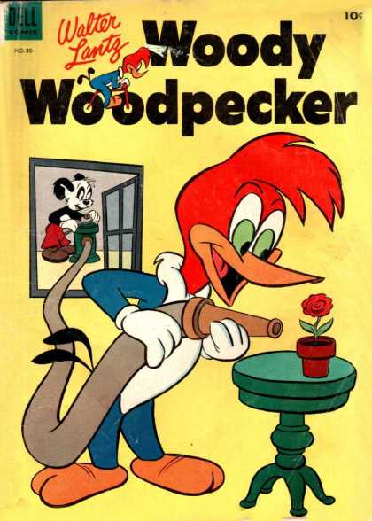Woody Woodpecker 20