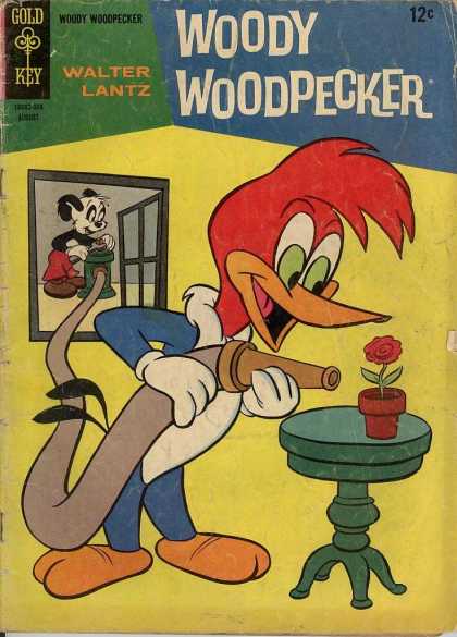 Hose - Flower Pot - Gold Key - Panda Bear - Table Woody Woodpecker 86 - Hose - Flower Pot - Gold Key - Panda Bear - Table