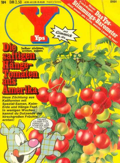 Yps - Die saftigen Hï¿½nge-Tomaten aus Amerika