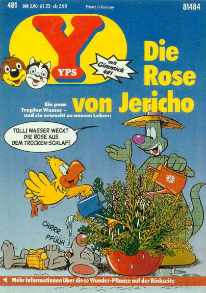 Yps - Die Rose von Jericho